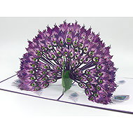 Royal Feathers 3D Card - Greeting Card