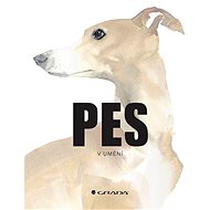 Pes v umění - 