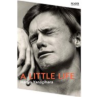 A Little Life - 