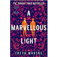 A Marvellous Light: a dazzling, queer romantic fantasy - 