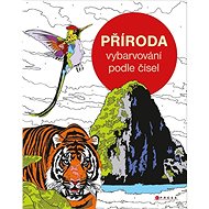 Colouring by numbers Nature - Colouring Book