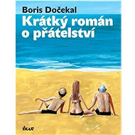 Krátký román o přátelství - Boris Dočekal
