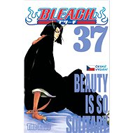 Bleach 37: Beauty is so Solitary - Tite Kubo