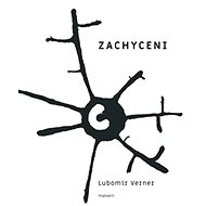 Zachycení - Lubomír Verner