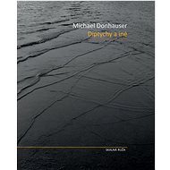 Diptychy a iné - Michael Donhauser