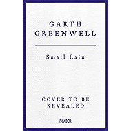 Small Rain - 