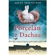 Porcelán z Dachau - 