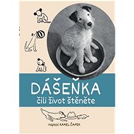 Dášeňka - 