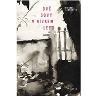Dvě sovy v nízkém letu - Michaela Keroušová