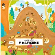 Co se děje v mraveništi - Petra Bartíková