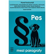 Pes mezi paragrafy - 