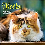 Cats 2025 - Wall Calendar