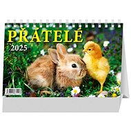 Friends 2025 - Desk Calendar