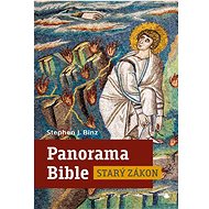 Panorama Bible Starý zákon - Stephen J. Binz