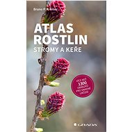 Atlas rostlin: Stromy a keře - Bruno P. Kremer