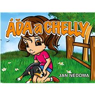 Krásná a chytrá - Jan Nedoma
