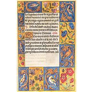 Spinola Hours Diary 2025 - Planner