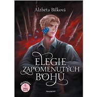 Elegie zapomenutých bohů - Alžběta Bílková