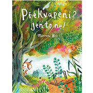Překvapení? Jen to ne! - Miriam Bos