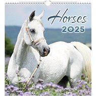 Horses 2025 - Wall Calendar