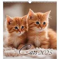 Cats 2025 - Wall Calendar