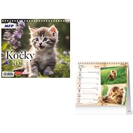 Kočky 2025  - Desk Calendar