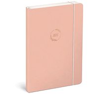 Daily diary 2025 inspirational powder - Planner