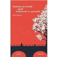 Setkání na mostě: aneb Sebevrah a vypravěč - Nikola Najbrová