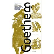 Goethe &: 7 převyprávěných her v historických souvislostech - Renáta Fučíková  Renáta Fučíková