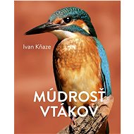 Múdrosť vtákov - Ivan Kňaze