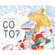 Co to?: České lidové hádanky - Zuzana Čupová