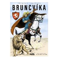 Příběhy knížete Bruncvíka - Vladimír Bican