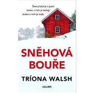 Sněhová bouře - 