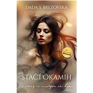 Stačí okamih - Dada S. Brezovská