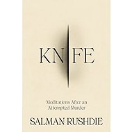 Knife: Meditations After an Attempted Murder - 