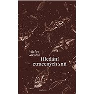 Hledání ztracených snů - Václav Vokolek