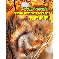 V tajomnom slovenskom lese - 