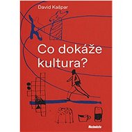 Co dokáže kultura? - 