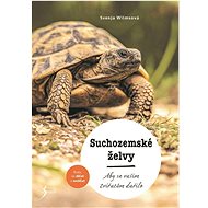 Suchozemské želvy - 