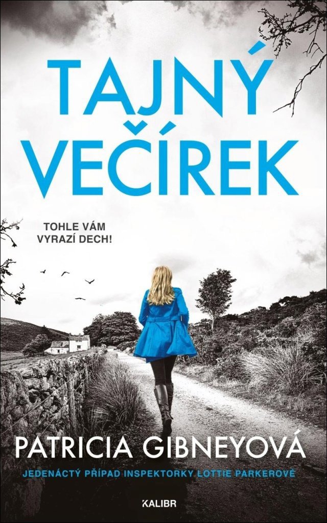 Tajný večírek - Patricia Gibney