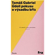 Údolí pokusu o výsadbu bříz - Tomáš Gabriel