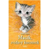 Macík, zvídavý kocourek - Holly Webb