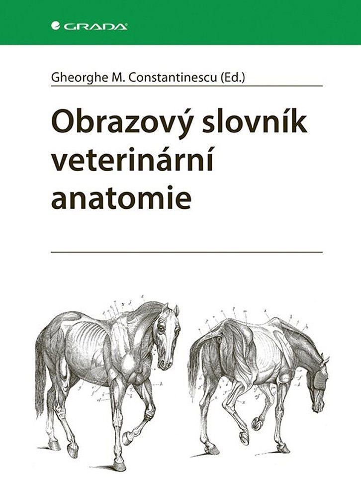 Obrazový slovník veterinární anatomie - M. Gheorghe Constantinescu