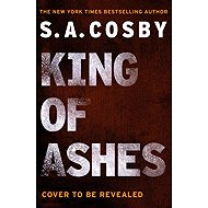 King of Ashes - 