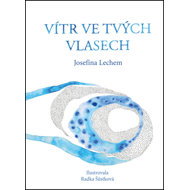 Vítr ve tvých vlasech - 