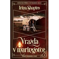 Vražda v maringotce - Irina Shapiro