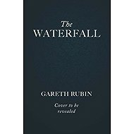 The Waterfall - 