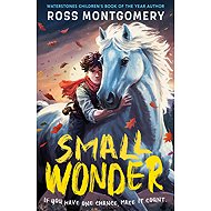 Small Wonder - 