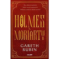Holmes a Moriarty - Gareth Rubin