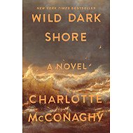 Wild Dark Shore: A Novel - 